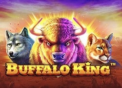 Buffalo King Casino Slot  Uptown Casino Online Canada