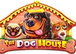 Dog House Casino Game  Uptown Casino Online Canada